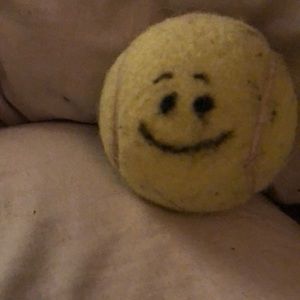 Meet your Posher, Judith